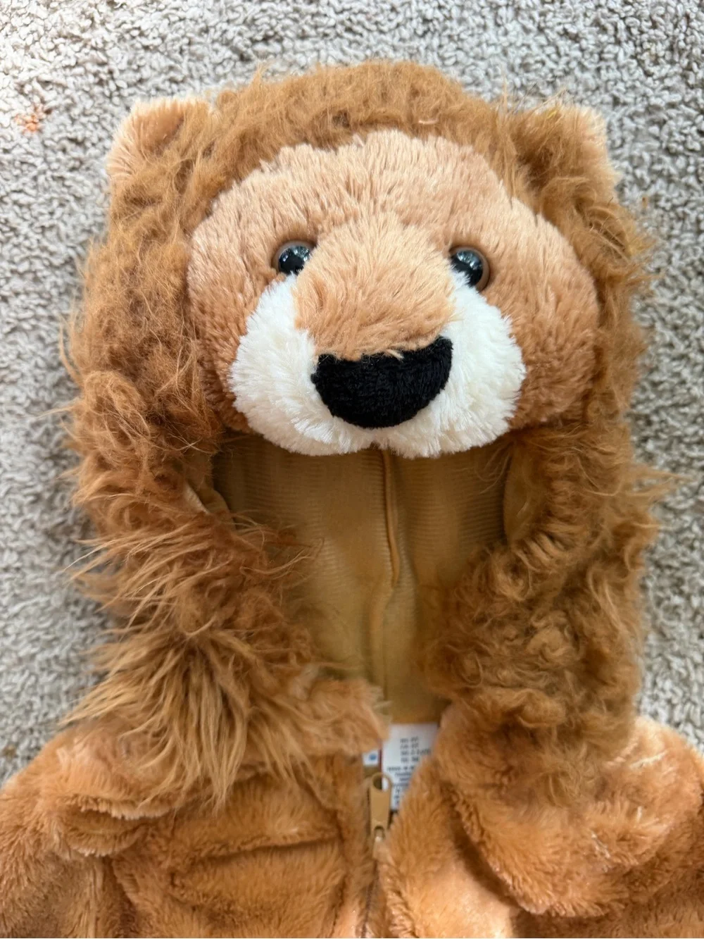 Cozy Lion Costume 3T